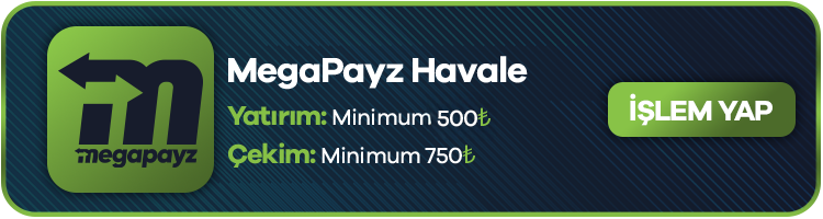 MegaPayzHavale