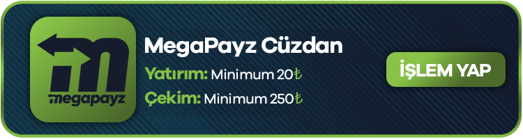 MegaPayzWallet